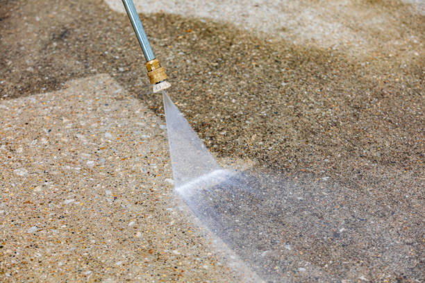 Best Sidewalk and Walkway Cleaning  in Temple Terrace, FL